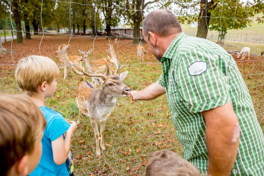 Entdeckungstour Wald | Foto: Andreas Lander