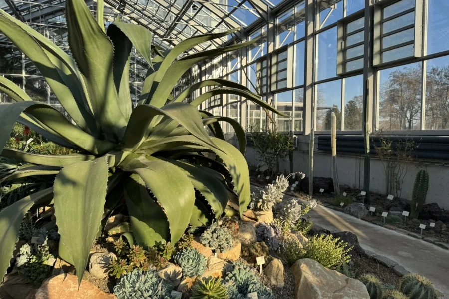 Klosterbergegarten mit Gruson-Gew&auml;chsh&auml;usern