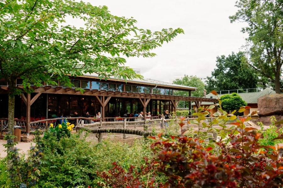 Africambo Lodge | Foto: IMG Sachsen-Anhalt, Felix Paulin