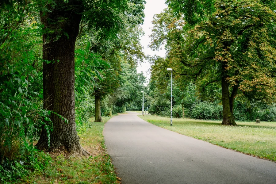 Weg, der durch eine Parkanlage f&uuml;hrt. Links B&auml;ume und rechts eine Rasenfl&auml;che.