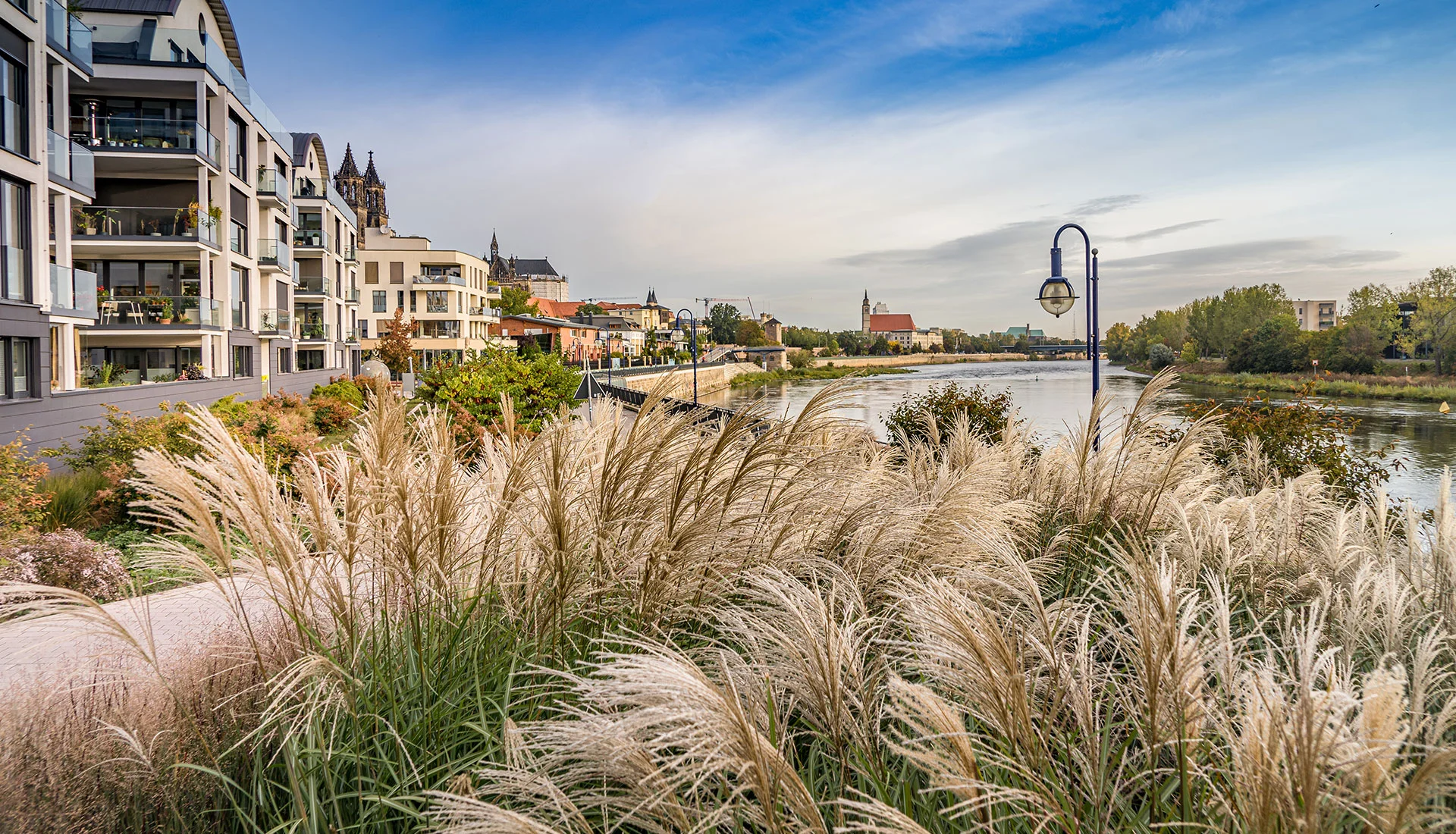 Herbstliche Elbpromenade am Elbbahnhof: wogende Ziergraeser vor modernen Wohnhaeusern, dahinter die Domtuerme und die Elbe