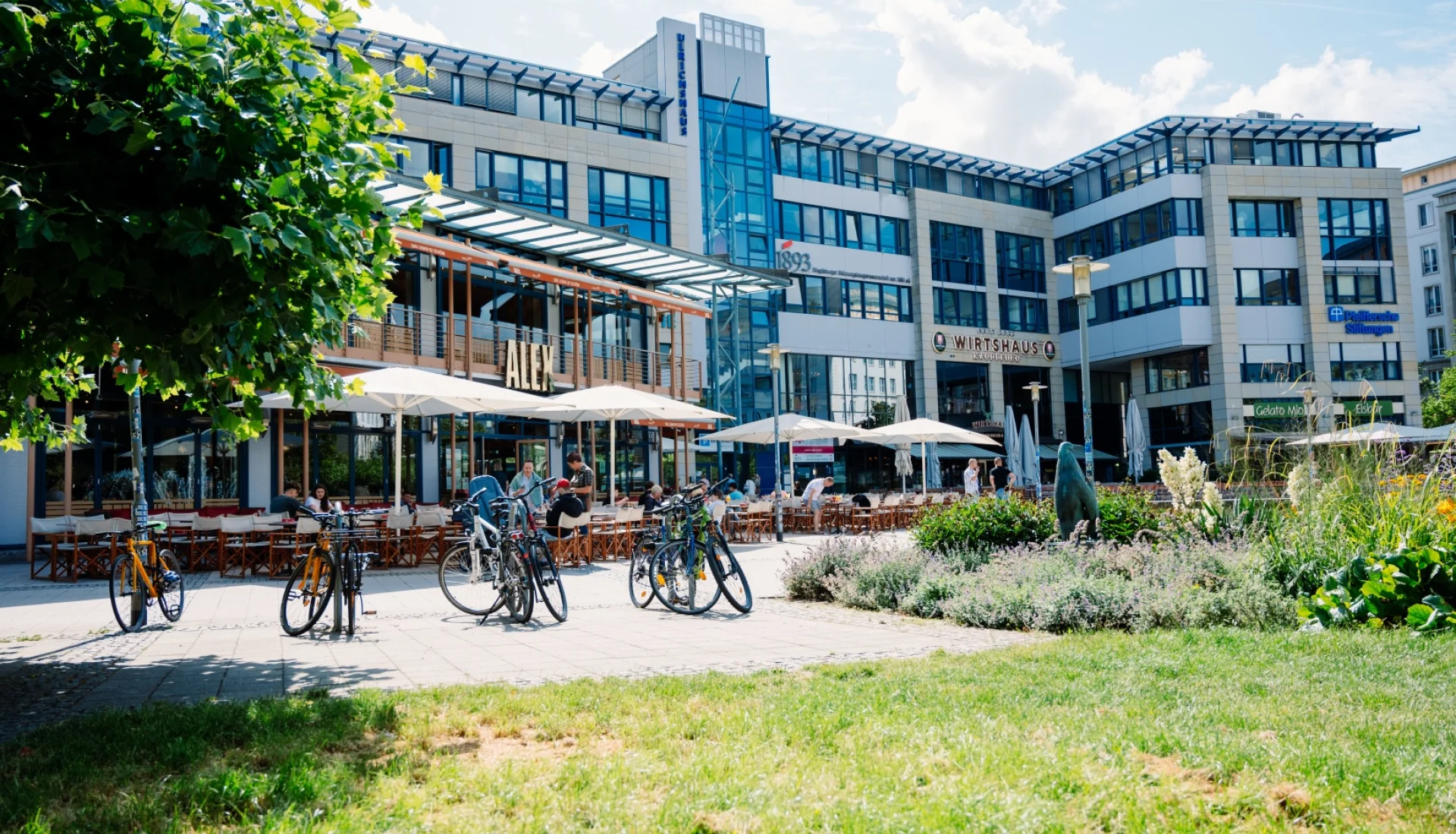 Terrasse des ALEX vor dem Ulrichhaus mit wei&szlig;en Sonnenschirmen, davor abgestellte Fahrr&auml;der und ein Staudenbeet mit B&auml;renskulptur
