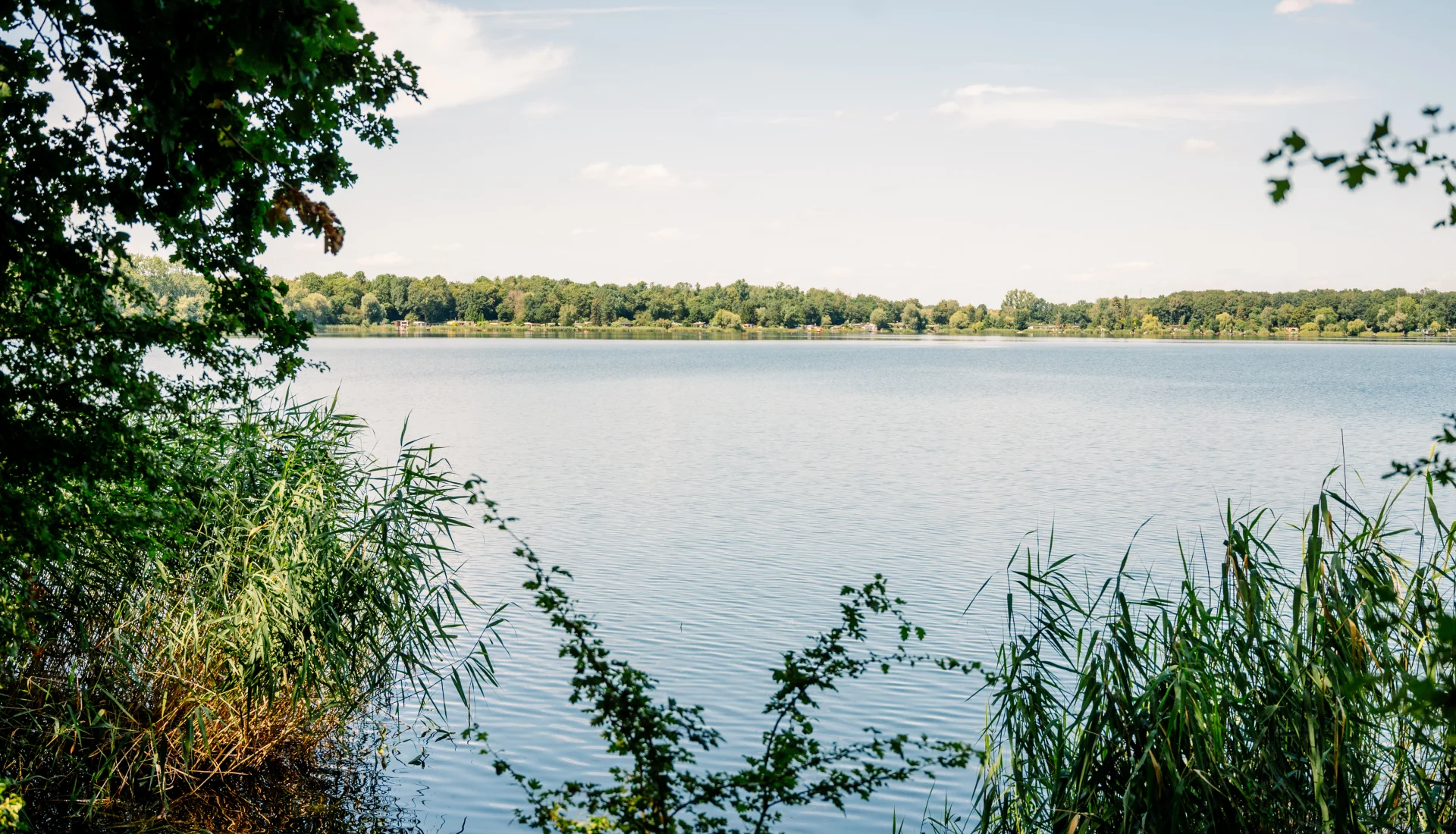 Blick auf den Barleber See mit ruhigem Wasser, B&uuml;sche links und rechts und Wald im Hintergrund