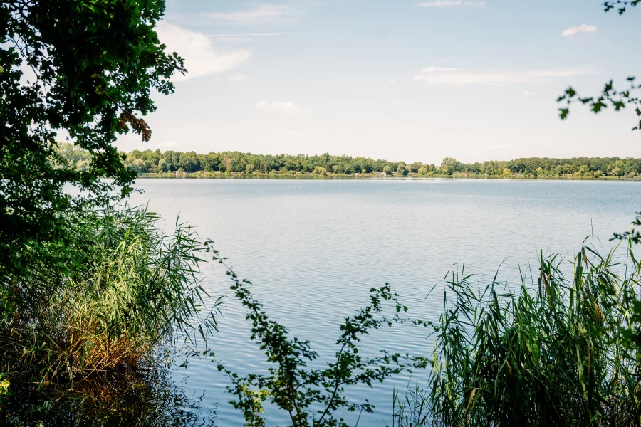 Barleber See