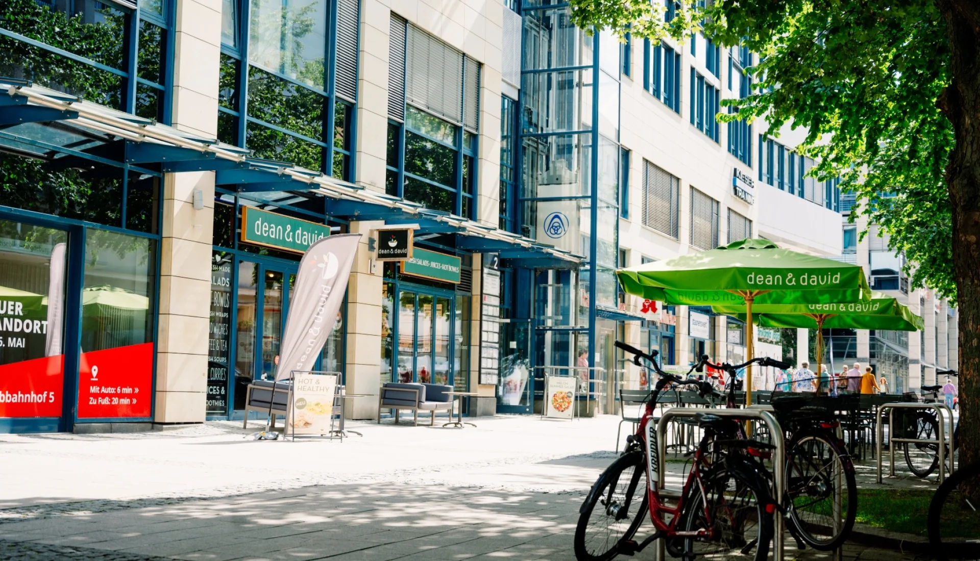 dean&david von der Strasse aus: gruene Sonnenschirme mit Schriftzug vor der Glasfassade, vorn Fahrraeder an Buegeln im Schatten grosser Platanen