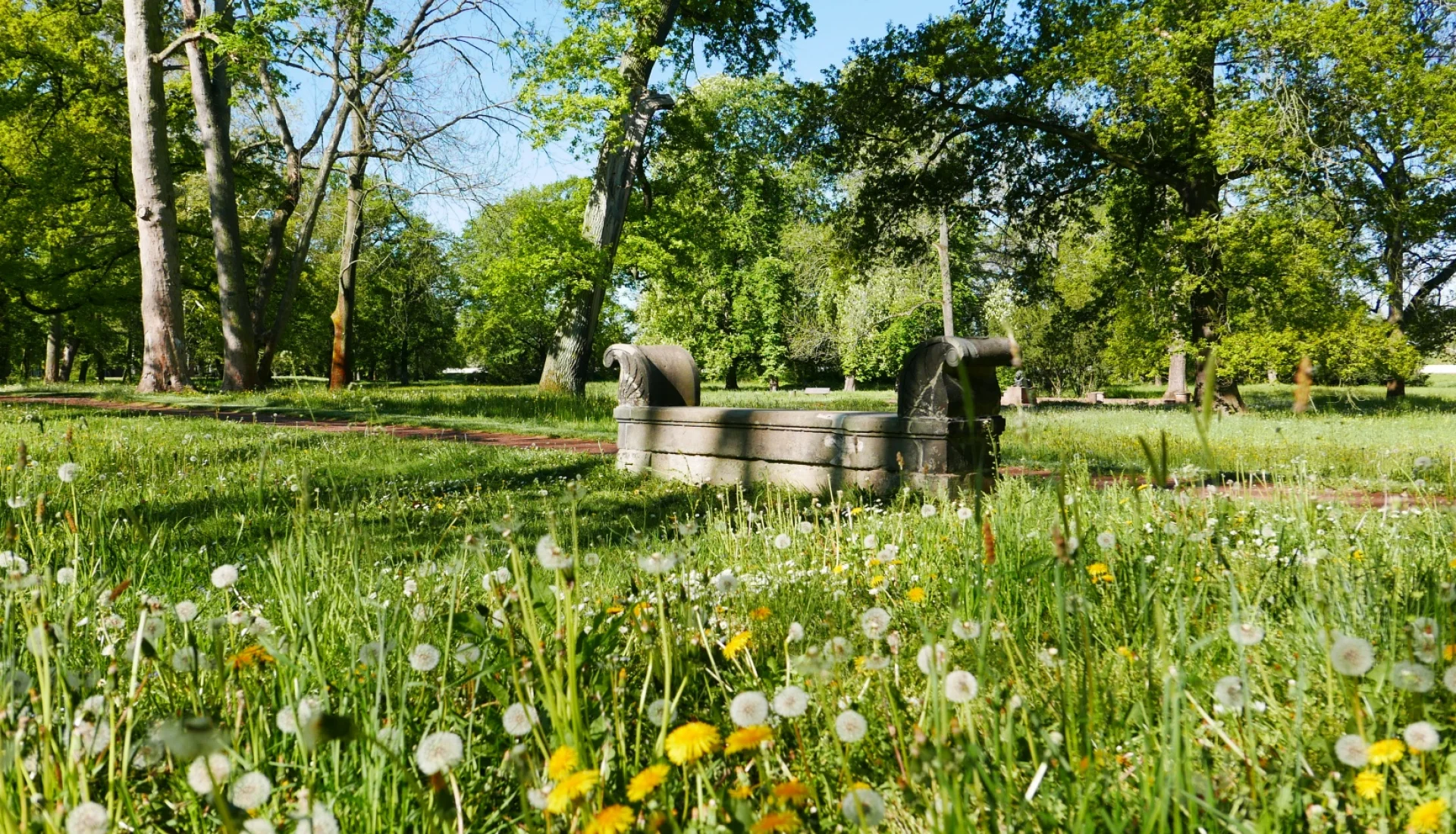 Steinerne Bank mit gerollten Lehnen auf einer L&ouml;wenzahnwiese im Herrenkrugpark, dahinter alter Baumbestand