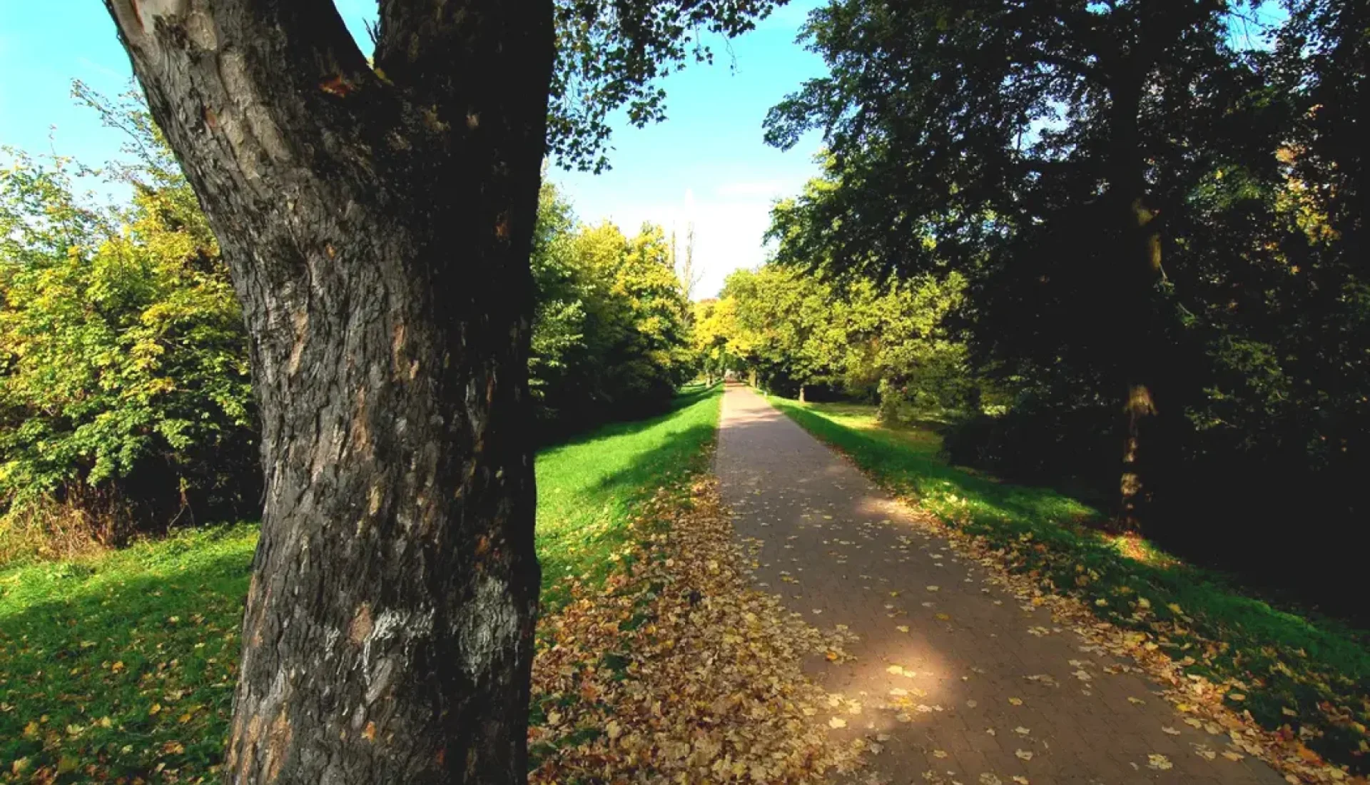Radtour: Umgebung Magdeburg S&uuml;d