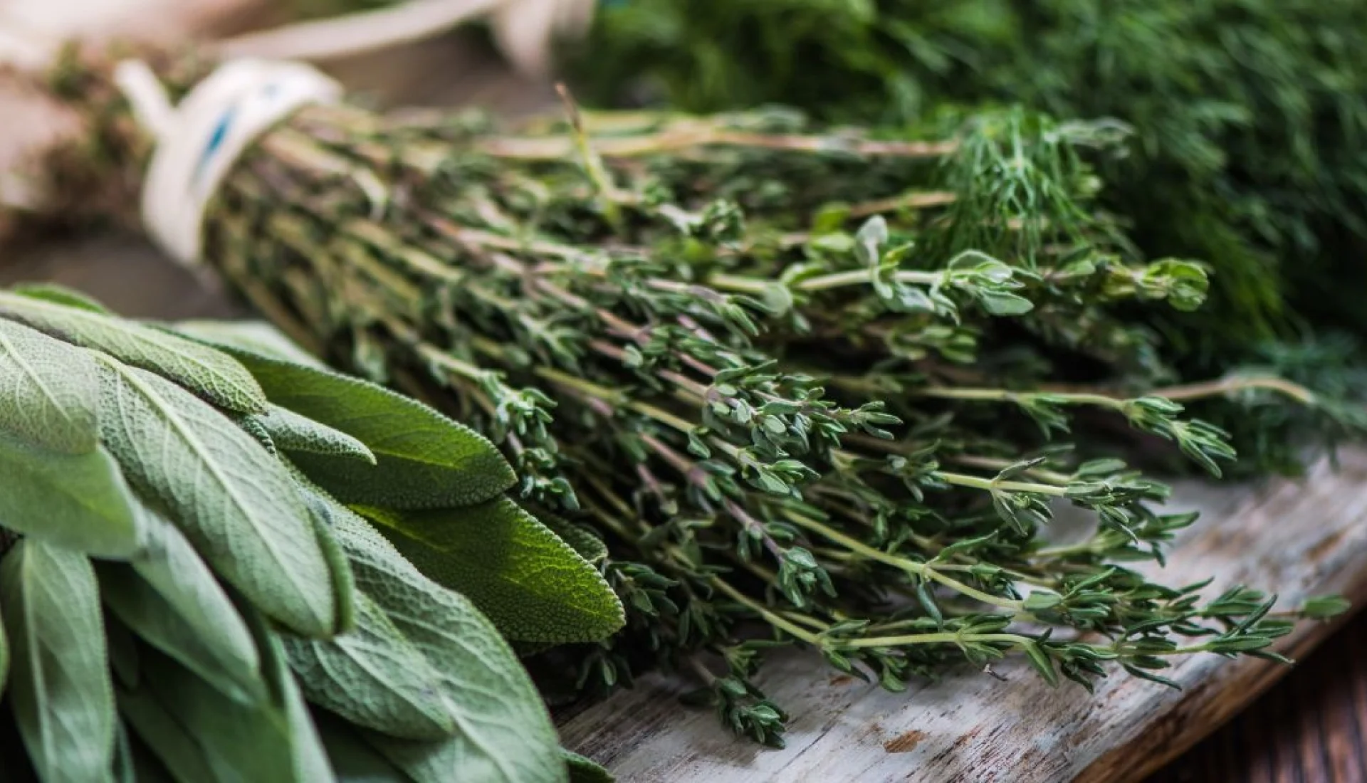 Gebundene Str&auml;u&szlig;e frischer Kr&auml;uter auf einem verwitterten Holzbrett: Salbei, Thymian und Dill