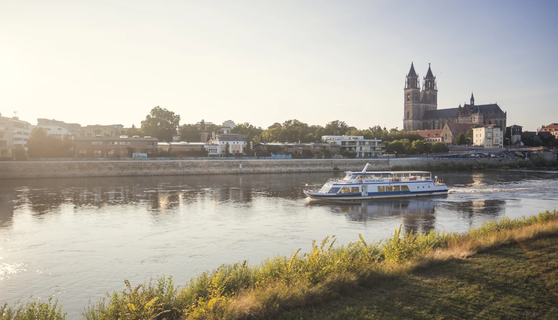 Blick auf die Wei&szlig;e Flotte auf der Elbe im Abendlicht mit Elbpromenade im Hintergrund