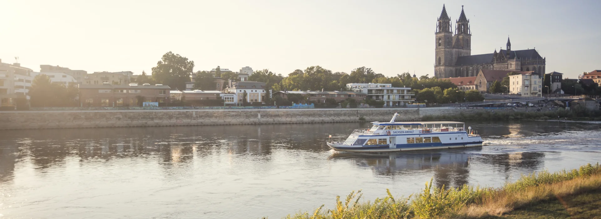 Blick auf die Wei&szlig;e Flotte auf der Elbe im Abendlicht mit Elbpromenade im Hintergrund