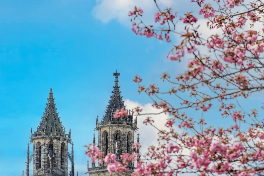 48-Stunden-Brosch&uuml;re Fr&uuml;hling