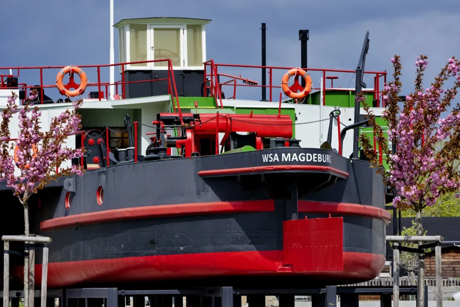 Heck des schwarz-rot lackierten Arbeitsschiffs Taucherschacht II mit der Aufschrift WSA Magdeburg, an Land aufgebockt zwischen bluehenden Zierkirschen