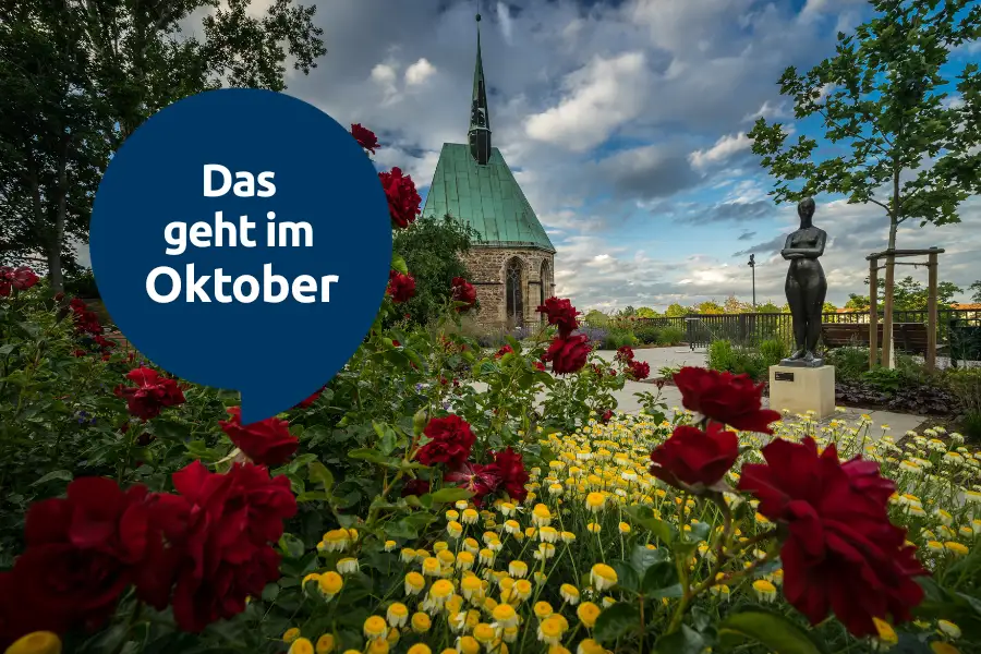 Veranstaltungen im Oktober