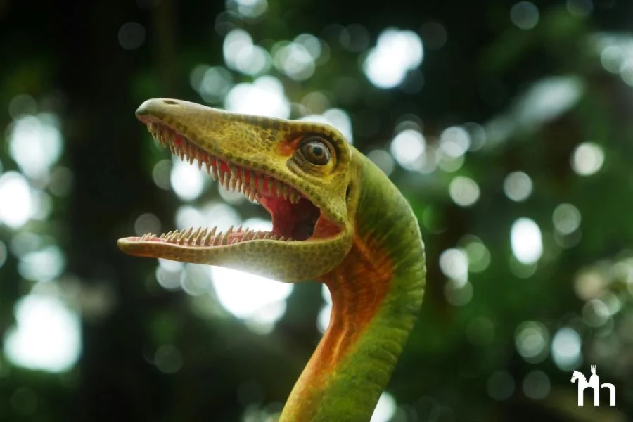 Teaser Dinoausstellung | Canva
