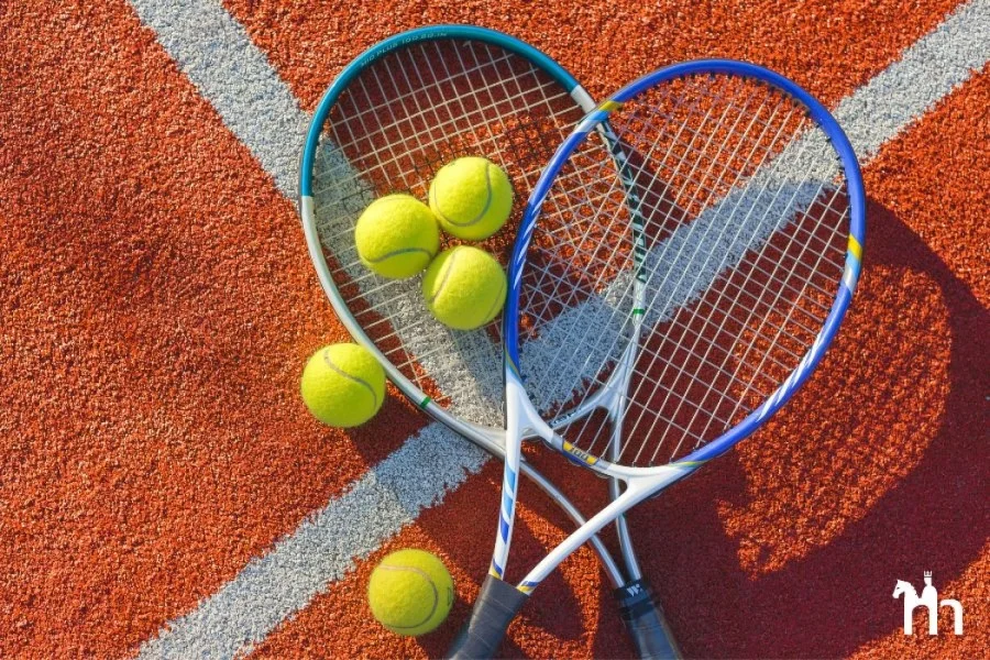 Taser Tennis | Foto: Canva, DAPA Images