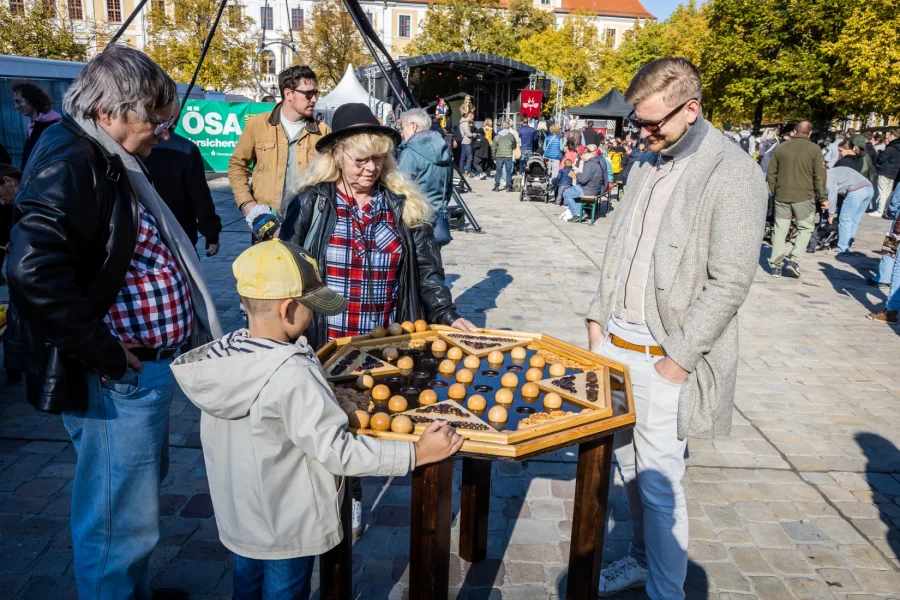 Ein Junge und mehrere Erwachsene spielen an einem gro&szlig;en h&ouml;lzernen Brettspiel auf dem Domplatz, im Hintergrund die Festb&uuml;hne und Besucher