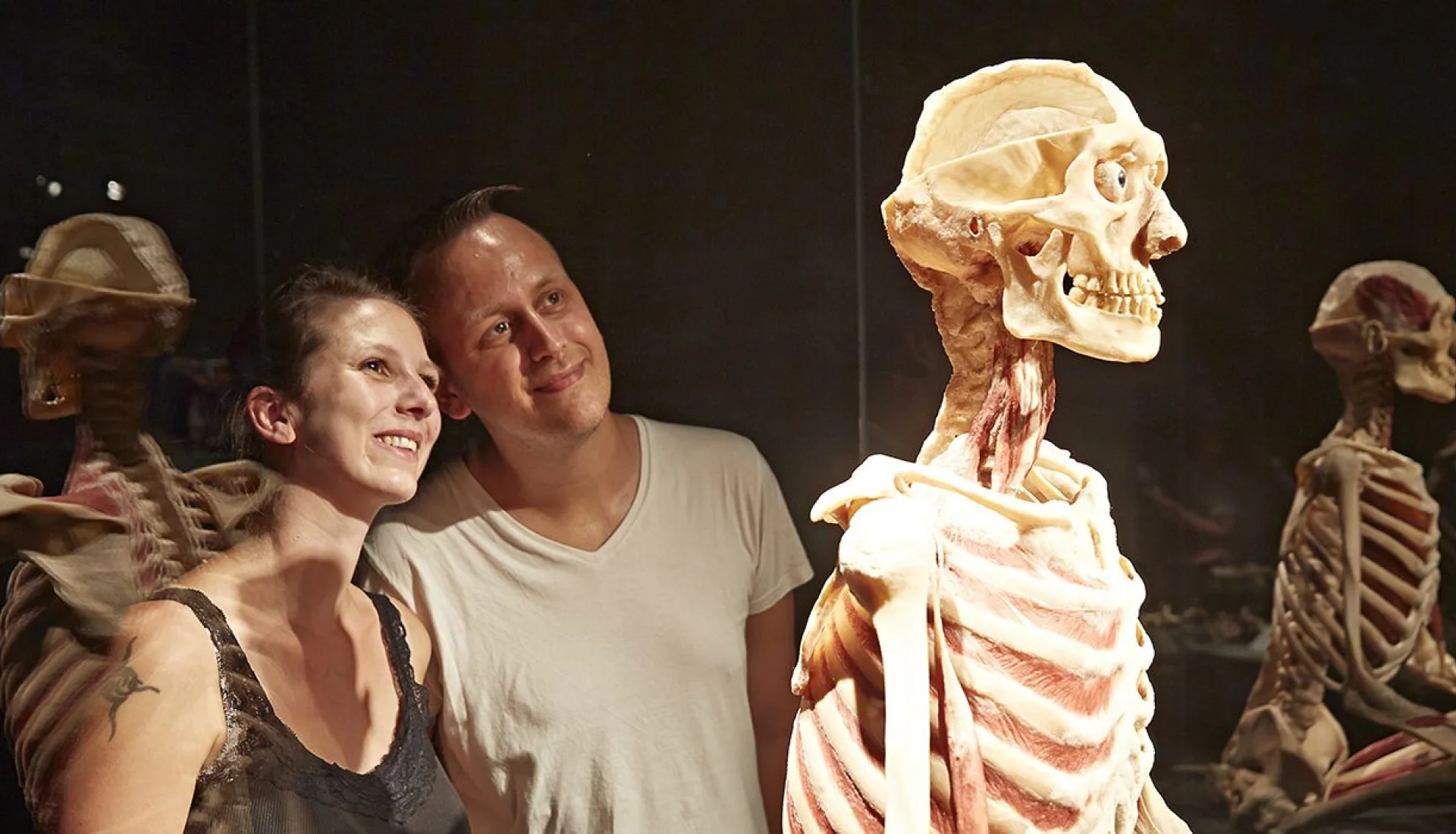 F&uuml;nf Fakten zur K&ouml;rperwelten Ausstellung Magdeburg
